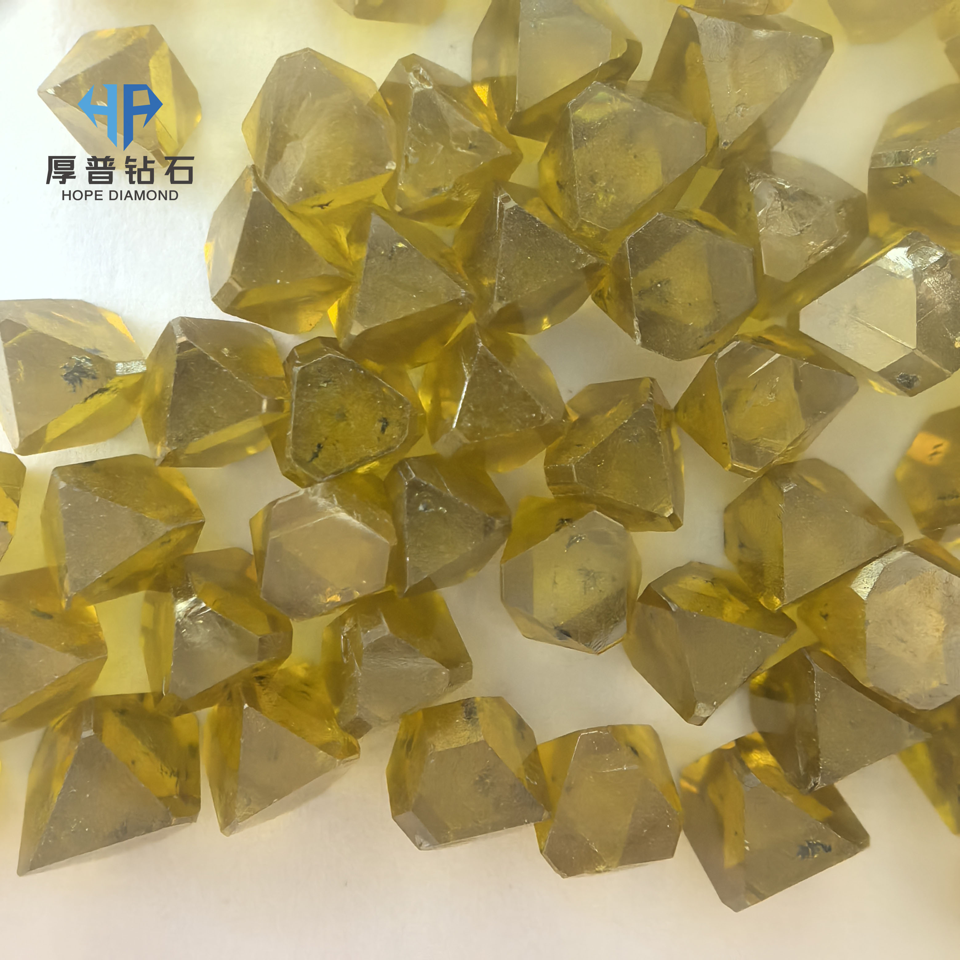 微信图片_20260610092738_7264_3 微信图片_20260610092738_7264_3